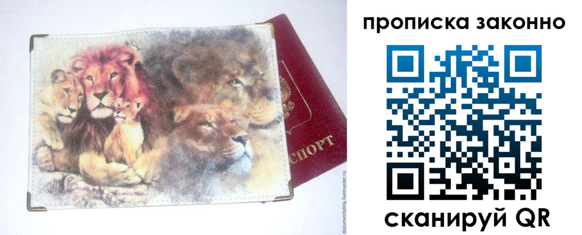 прописка от собственника в Шилке